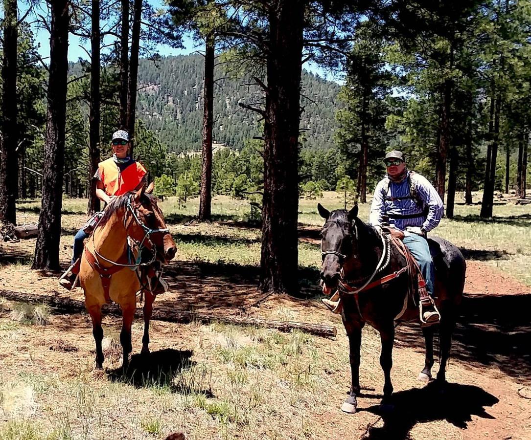 Grand Canyon 1Bd Loft/Suite-Horseback Riding-Shooting-Dogs Ok! Parks Exterior photo