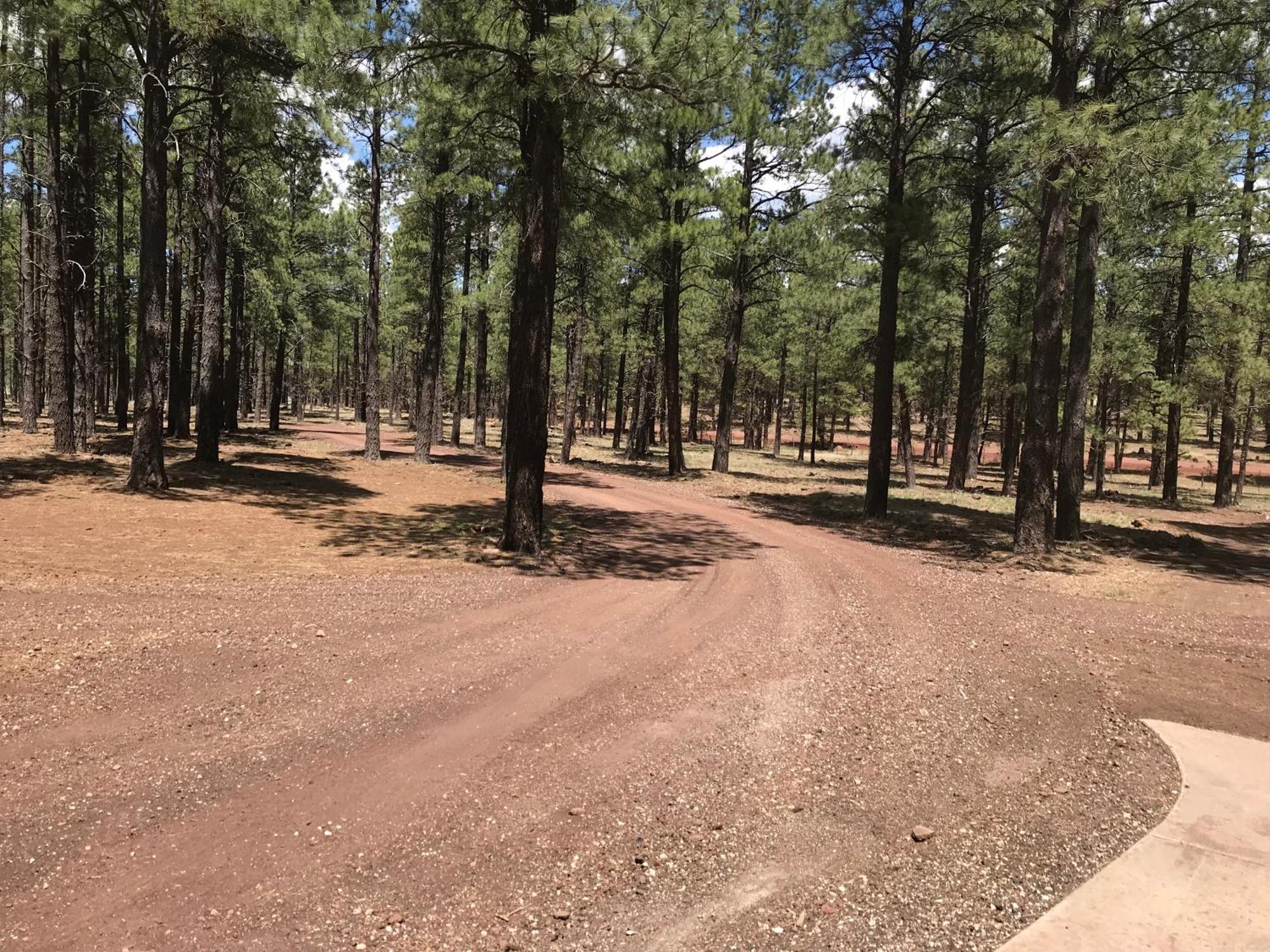 Grand Canyon 1Bd Loft/Suite-Horseback Riding-Shooting-Dogs Ok! Parks Exterior photo
